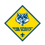 Cub Scouts